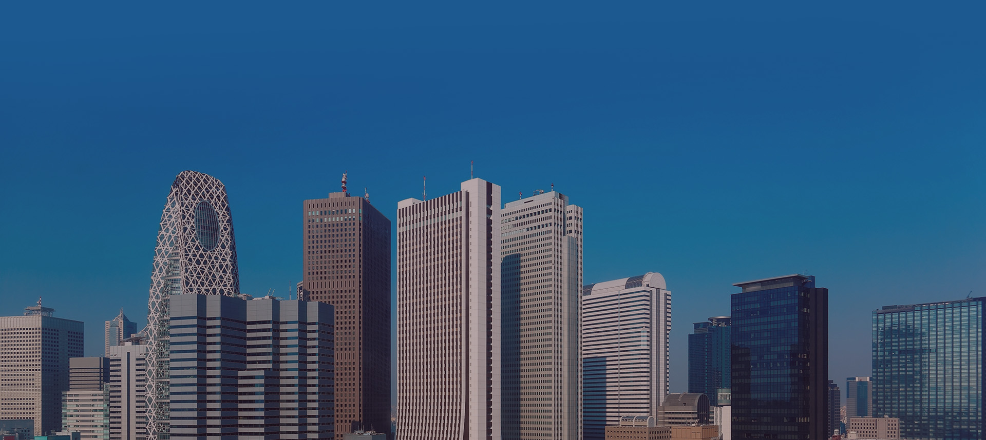 キャリエールネイルスクール紹介