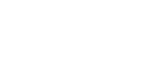 Support Academy for Independent business