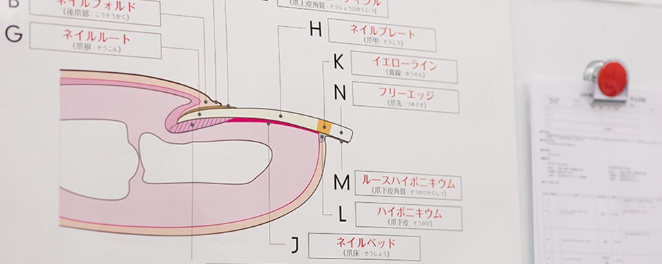 検定合格サポート